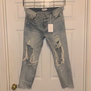 Cello jeans